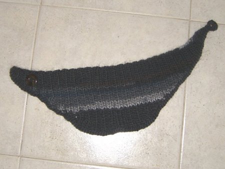 La fascia di patty