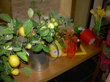 Autunno-Inverno 2006