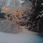 cosa c'&egrave; sotto la neve
