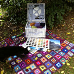 Picnic in Knit-House con gatto