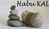 habu textiles group