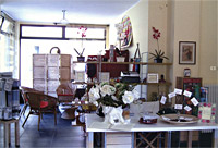 Unfilodi nel 2003