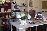 Unfilodi nel 2003