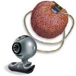 unfilodi webcam