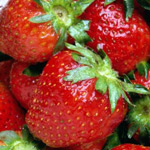 fragole