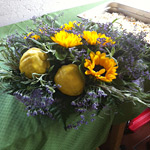 girasoli e lavanda
