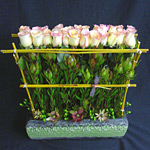rosa, rose e bamboo