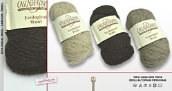 fm253 : clicca qui