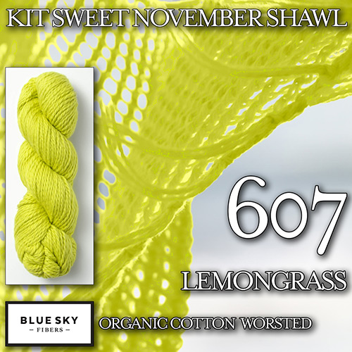 km277 Kit Sweet November Shawl K-607 : Blue Sky Fibers