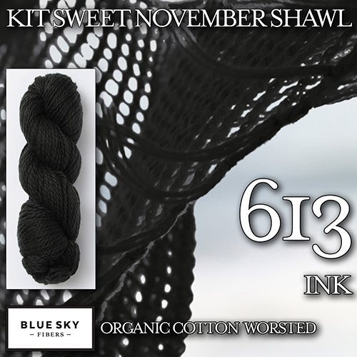 km277 Kit Sweet November Shawl K-613 : Blue Sky Fibers