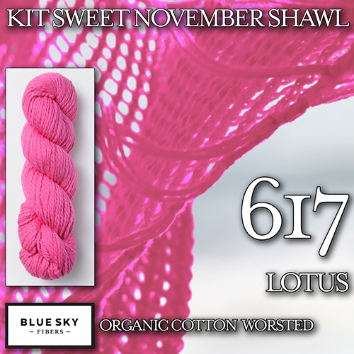 km277 Kit Sweet November Shawl K-617 : Blue Sky Fibers