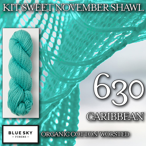 km277 Kit Sweet November Shawl K-630 : Blue Sky Fibers