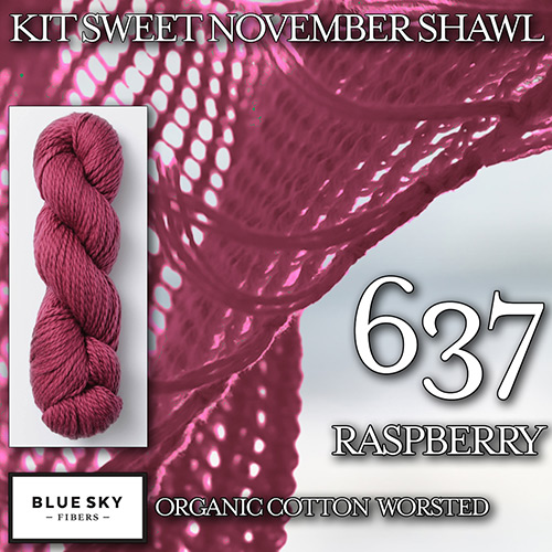 km277 Kit Sweet November Shawl K-637 : Blue Sky Fibers