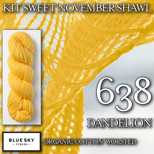 km277 Kit Sweet November Shawl K-638 : Blue Sky Fibers