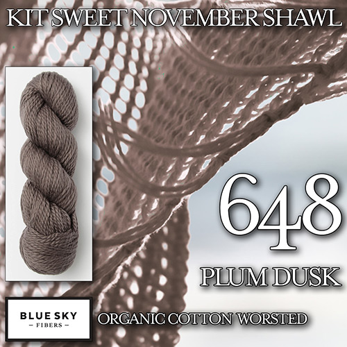 km277 Kit Sweet November Shawl K-648 : Blue Sky Fibers