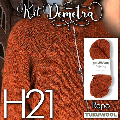 km321 Kit Demetra H21 : Tukuwool