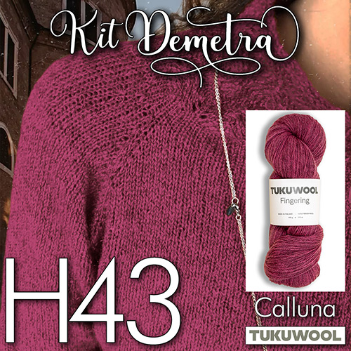 km321 Kit Demetra H43 : Tukuwool