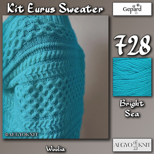 km336 Kit Eurus Sweater 728 : Gepard