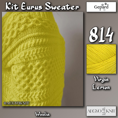km336 Kit Eurus Sweater 814 : Gepard