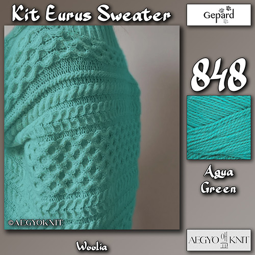 km336 Kit Eurus Sweater 848 : Gepard