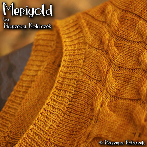 km343 Merigold by Marzena Kołaczek