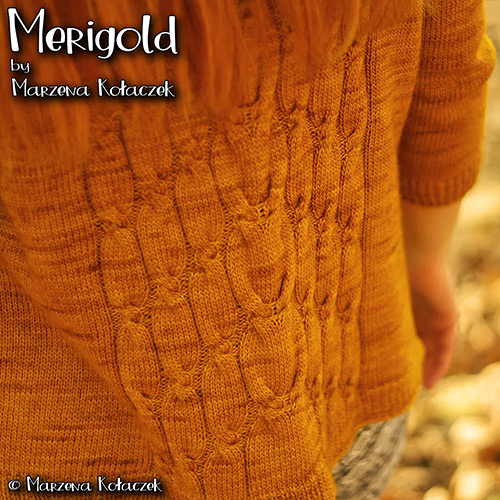 km343 Merigold by Marzena Kołaczek