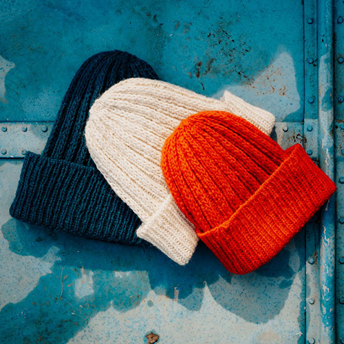 pb81: Shelterwood Cap