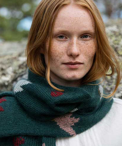 pb85: Tulip Garden pb85: Tulip Garden