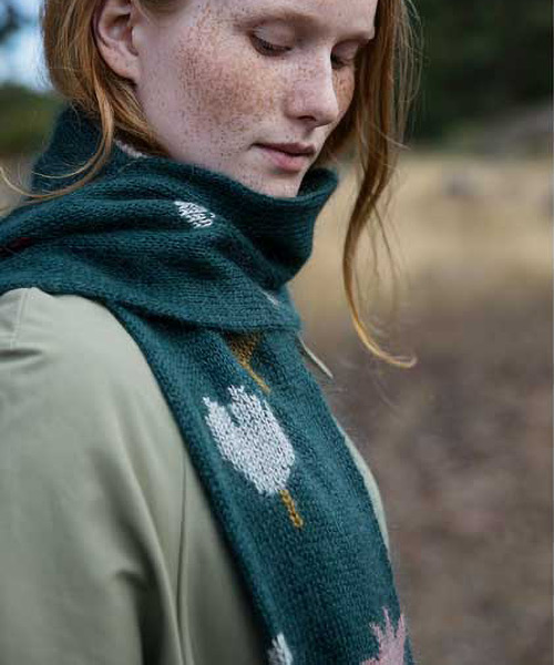 pb85: Tulip Garden pb85: Tulip Garden