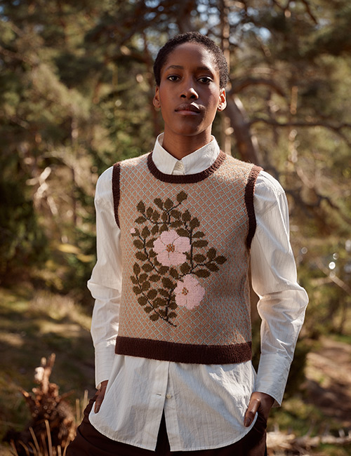rk26 A-I Dee Hardwicke : Wild Rose