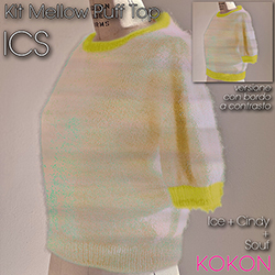 215-w-ICS