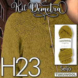 km321-k-H23