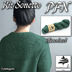 km360-k-PFN